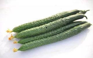 吃瓜群众黄瓜爆料视频,揭秘娱乐圈幕后真相 第3张 吃瓜群众黄瓜爆料视频,揭秘娱乐圈幕后真相 第3张